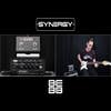 Synergy Friedman BE-BB 2ch Tube Pre-Amp Module