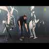Gravity KSX2 Double Braced Keyboard Stand X-Frame w/VariFoot