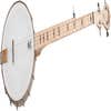 Deering Goodtime 5-String Openback Banjo