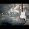 Paul Reed Smith (PRS) Silver Sky Electric Guitar w/Deluxe Gigbag - Tungsten - Rosewood Fretboard