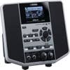Boss JS10 eBand Audio Player w/Effects