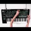 Roland AIRA System-8 Plug-out Synthesizer (SYSTEM8)