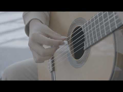 Altamira Guitars N500 All-Solid Classical / Nylon String Guitar - Cedar/Ovangkol