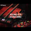 Roland AIRA VT-4 Voice Transformer (VT4)