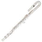 Odyssey OFL650C Premiere C Curved Head Flute Outfit - One Only