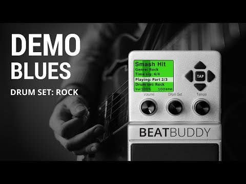 Singular Sound BeatBuddy 2-button Footswitch