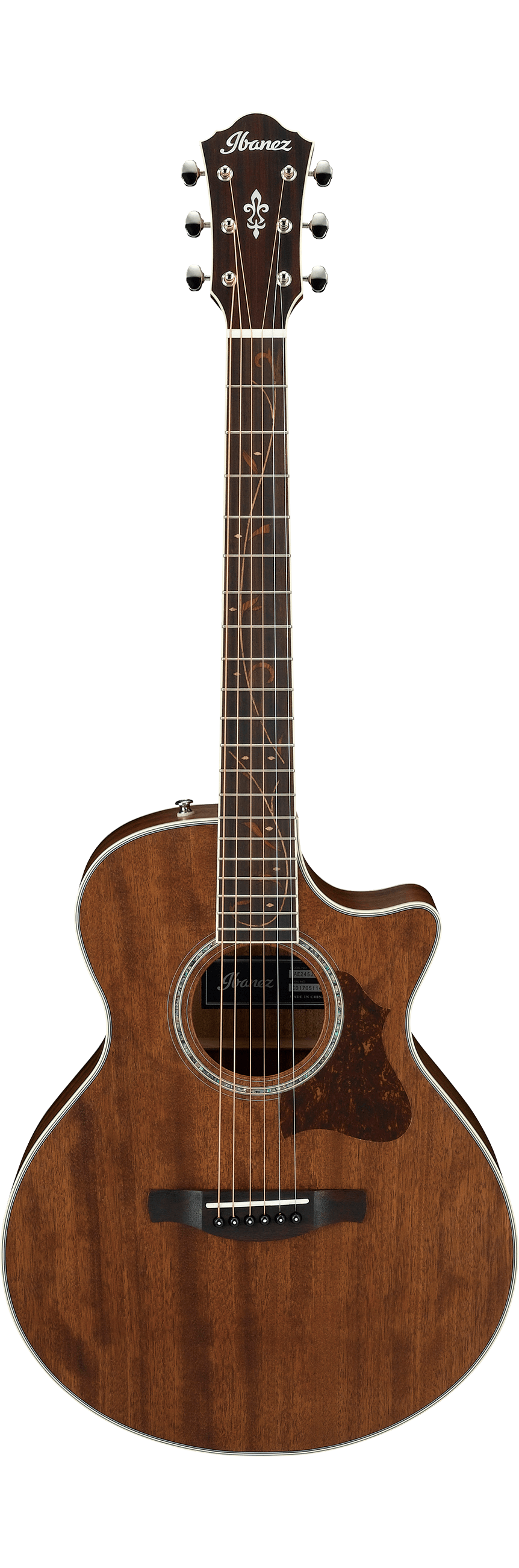 Ibanez ew50 price new arrivals