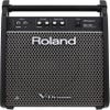 Roland PM100 80W Personal Drum Monitor (PM-100)