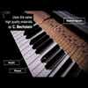 Casio GP-310 Grand Hybrid Digital Piano w/Matching Bench - Black