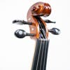 RAGGETTI RV2 15 INCH VIOLA OUTFIT SETUP WITH TONICA STRINGS