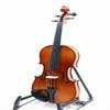 RAGGETTI RV2 3/4 VIOLIN OUTFIT SETUP WITH TONICA STRINGS