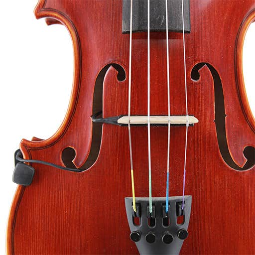 The top realist violin