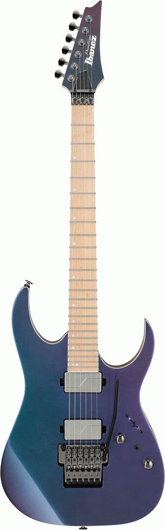 Ibanez rg store guitar case