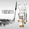 D'Addario Select Jazz Alto Sax / Unfiled 2 Med- Box of 10