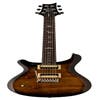Paul Reed Smith (PRS) SE Custom 24 
