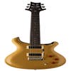 Paul Reed Smith (PRS) SE DGT David Grissom Signature Guitar - DGT Gold Top