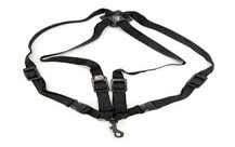 BG Franck Bichon Alto/Tenor Sax Harness - Small - Snap Hook (BGS42SH)