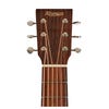 Tasman Captain TA200D-E Dreadnought Acoustic/Electric Guitar w/Case
