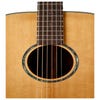 Tasman Captain TA200O-E OM Acoustic/Electric Guitar w/Case