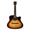 Tasman Admiral TA300-CE Dreadnought Acoustic Electric Guitar w/Case