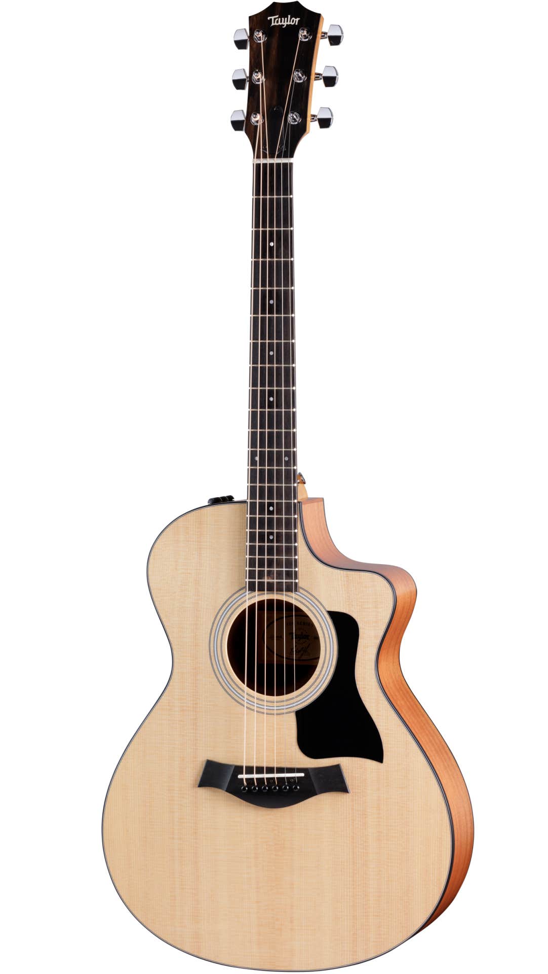 Taylor guitar gig shop bag