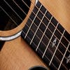 Taylor 214ce PLUS LTD Acoustic Electric w/Aerocase - 50th Ann. Model - One Only!