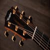Taylor 214ce PLUS LTD Acoustic Electric w/Aerocase - 50th Ann. Model - One Only!