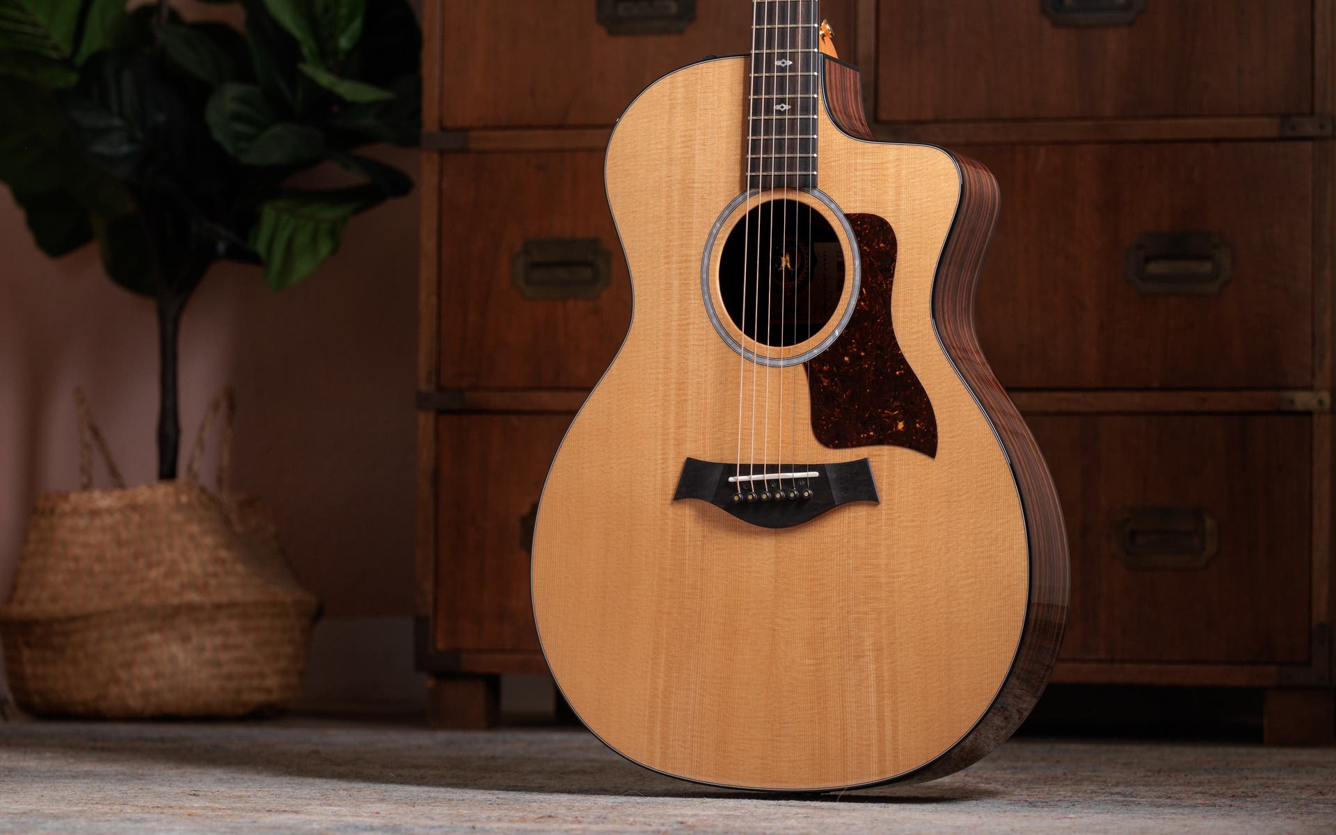 Taylor 214ce PLUS LTD Acoustic Electric w/Aerocase - 50th Ann. Model - One Only!