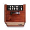 Taylor Circa 74 Acoustic Guitar / Vocal Amplifier