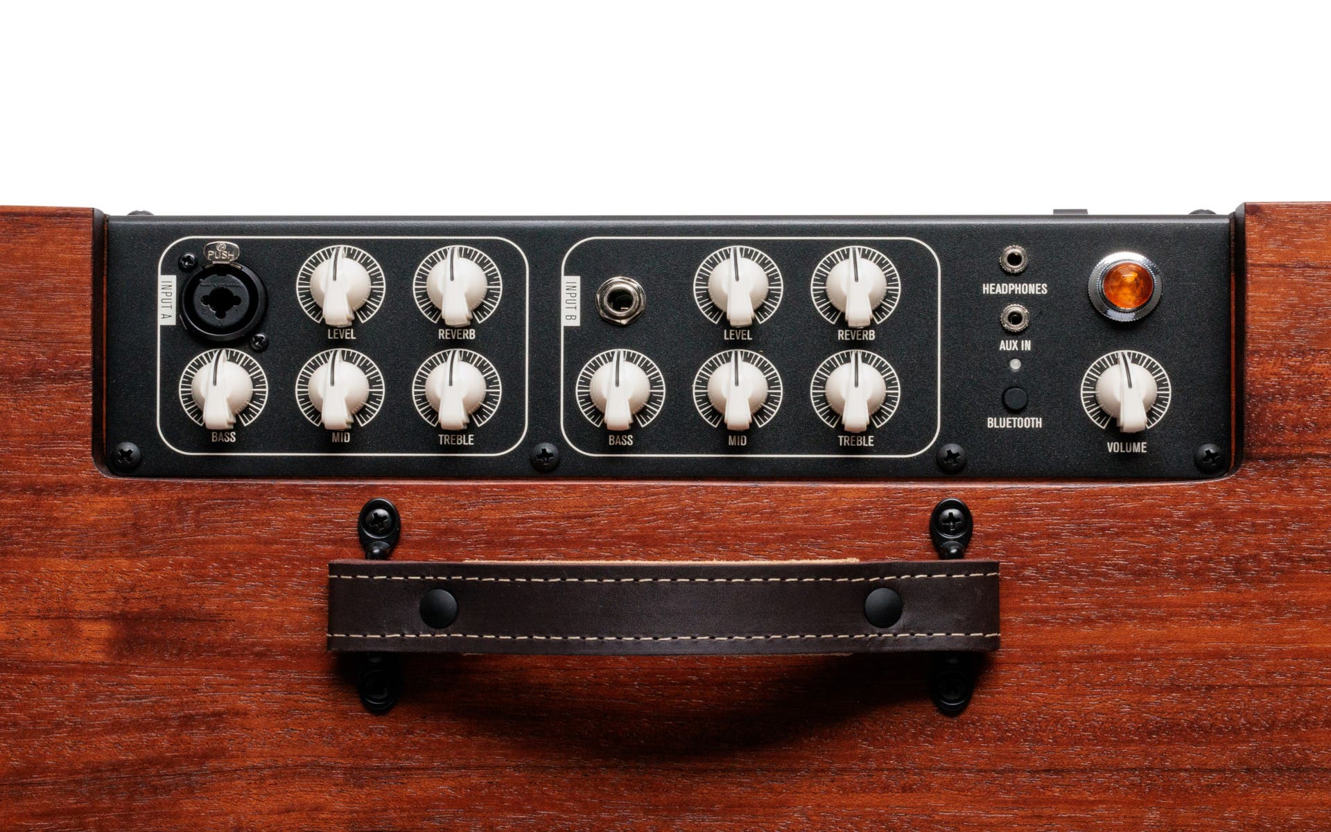 Taylor Circa 74 Acoustic Guitar / Vocal Amplifier
