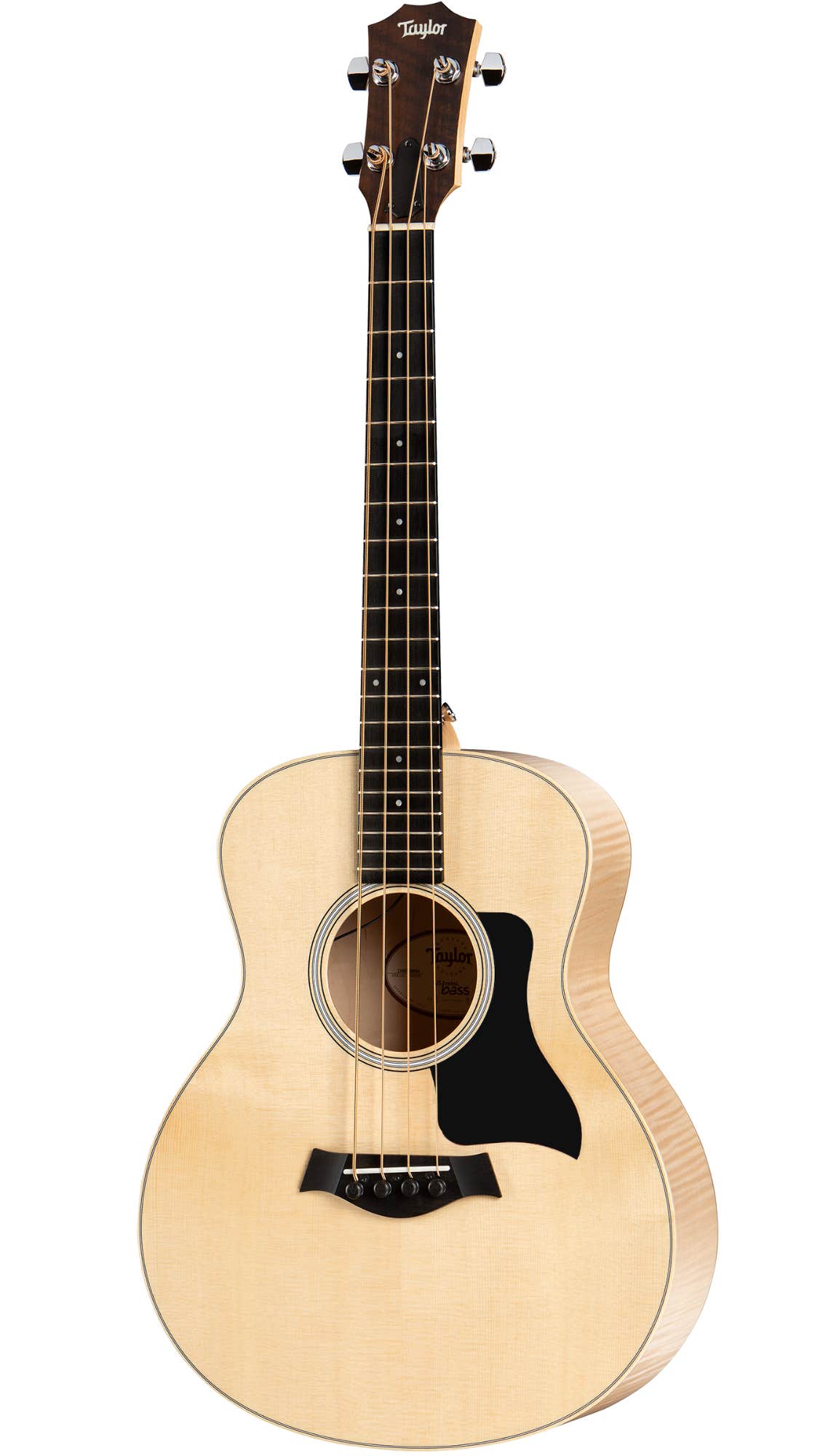 Taylor gs cheap mini scale