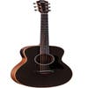 Taylor GS Mini-e Special Edition - Trans Black - One Only!