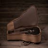 Taylor GS Mini-e Special Edition - Trans Black - One Only!