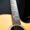 Taylor 914ce LTD Acoustic Guitar w/Case - Solid Spruce / Cocobolo - Pre-Owned