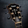 Taylor 914ce LTD Acoustic Guitar w/Case - Solid Spruce / Cocobolo - Pre-Owned