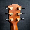 Taylor 914ce LTD Acoustic Guitar w/Case - Solid Spruce / Cocobolo - Pre-Owned