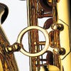 Professional Alto S/Silver Neck/Body