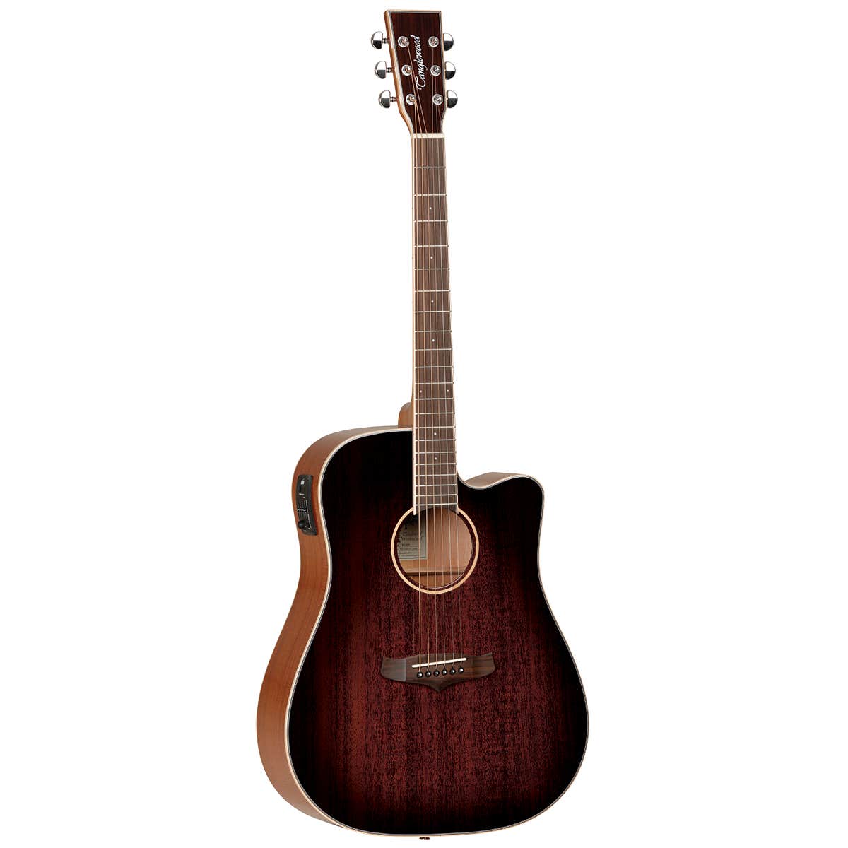 Tanglewood winterleaf acoustic guitar on sale
