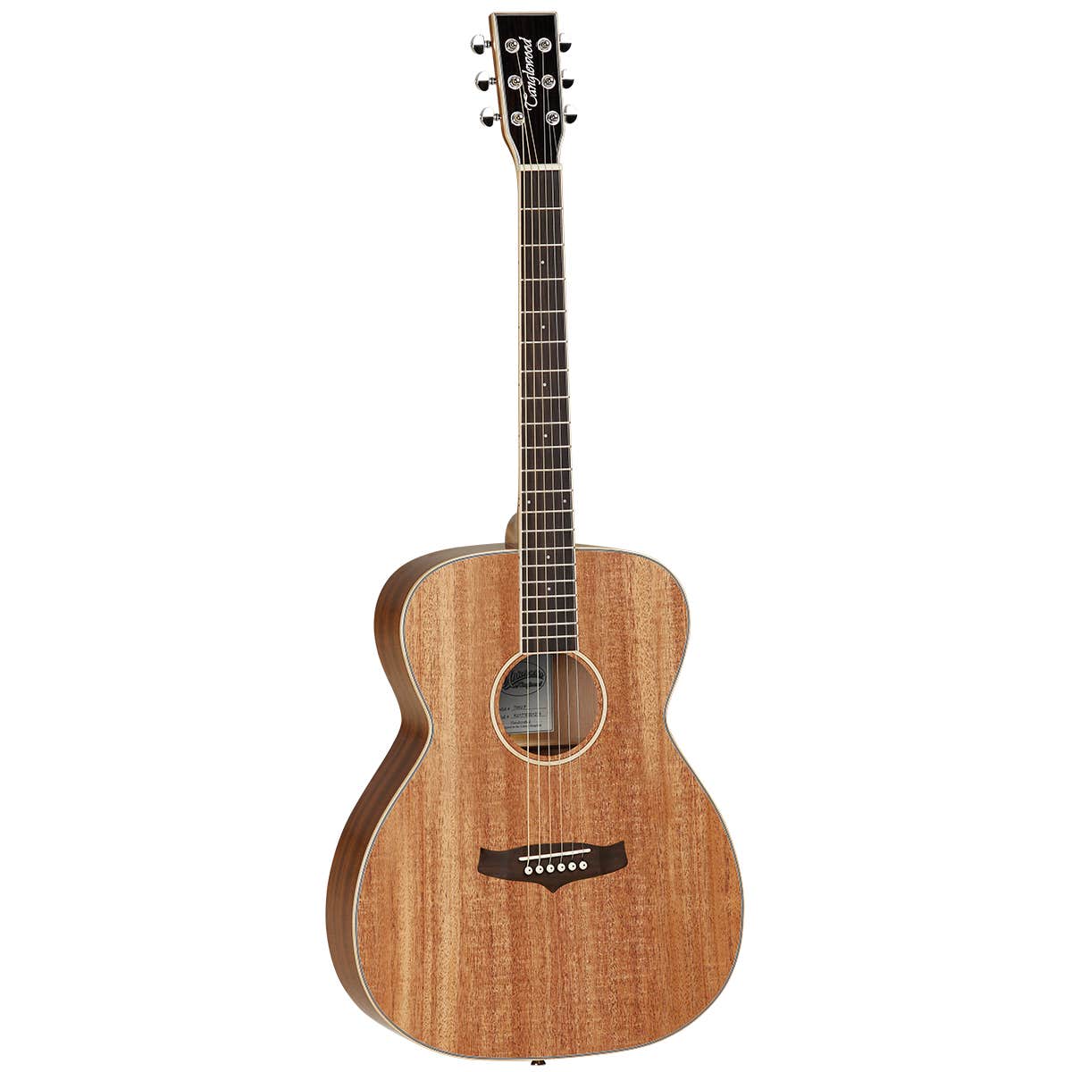 Tanglewood folk acoustic deals guitar