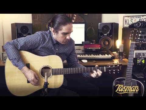 Tasman Seeker TA100 Dreadnought Acoustic Guitar w/Case