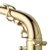 Professional Alto S/Silver Neck/Body