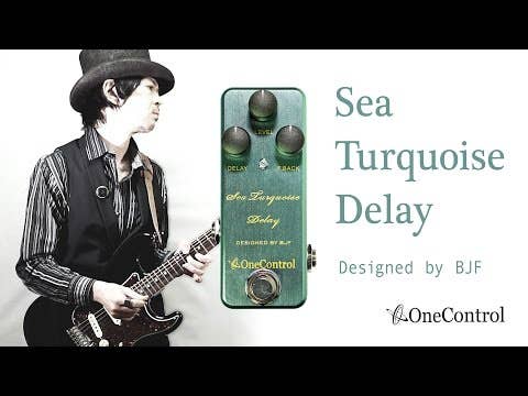 One Control BJF Sea Turquoise Delay Pedal