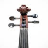 Gliga II 16 Inch Viola Outfit - Dark Antique Finish W/Tonica Strings