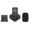 Lewitt LCT 441 FLEX Multi-Pattern Condenser Mic