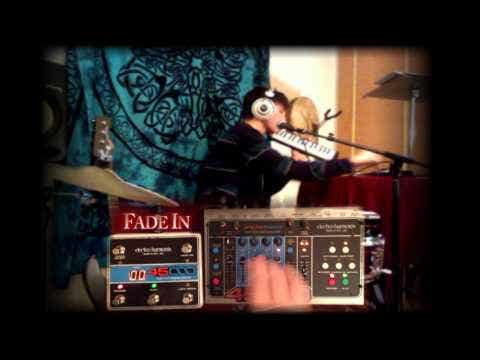 Electro Harmonix 45000 Multi-Track Looping Recorder