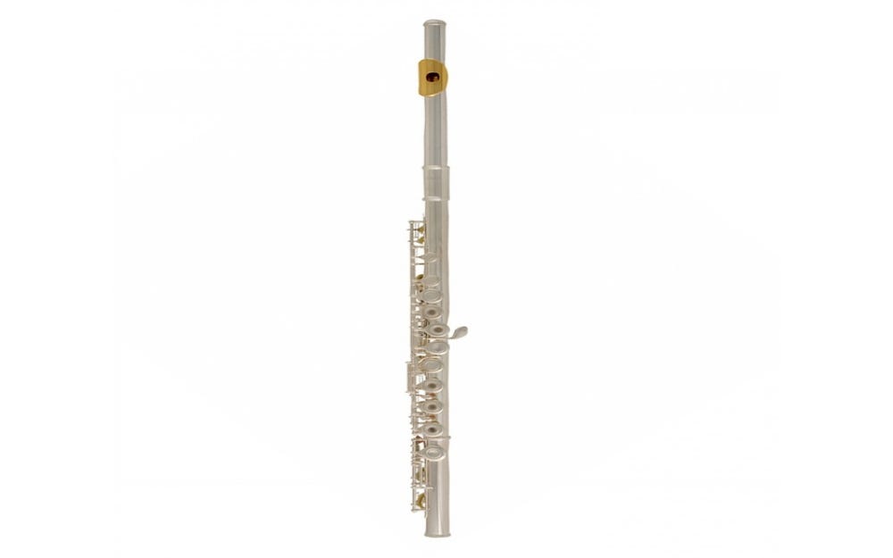 Yamaha YFL372HGLID Intermediate B-Foot Gold Lip Plate
