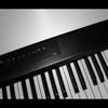 Artesia Pro A-61 WH 61-note Portable Digital Piano - White